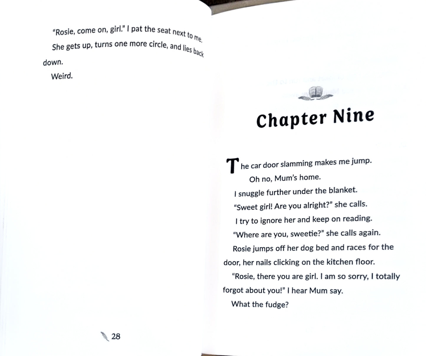 The Trouble With Books - Pippa & Polly Series - Illustrated Chapter Book