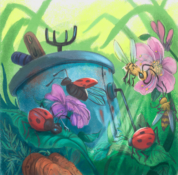 Children's Book - Jack's Veggie Patch