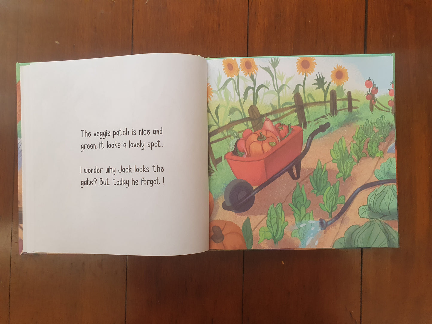 Children's Book - Someone Left the Gate Open