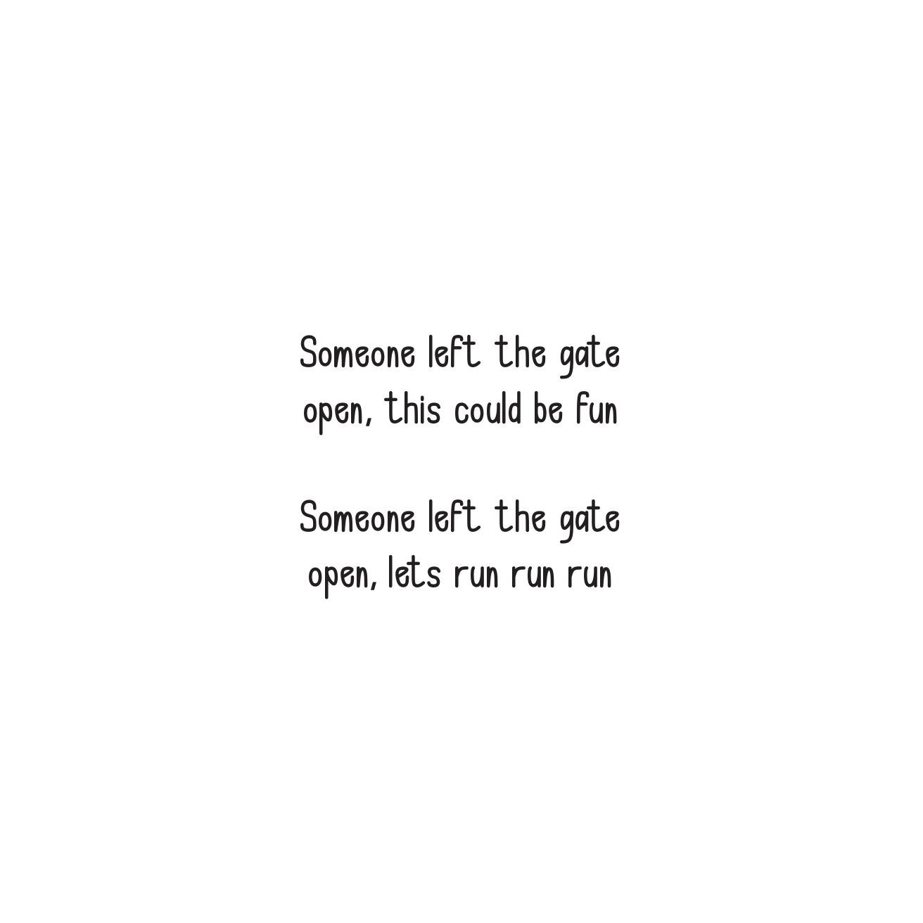 Children's Book - Someone Left the Gate Open